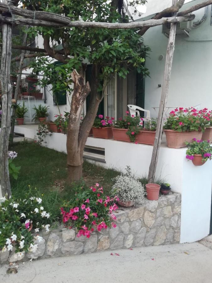 Sorrento Studios Lemons Hill Exterior foto
