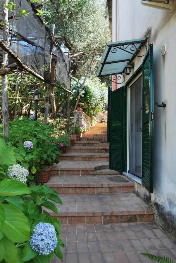 Sorrento Studios Lemons Hill Exterior foto